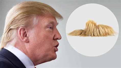 gucci slippers like trump's hair.